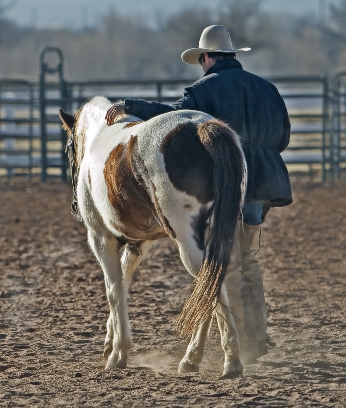 100X Quarter Horse - Cowboy Hats for Men - Western Hats for Men